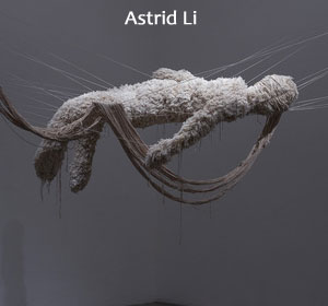 Solo Exhibit of Astrid Li